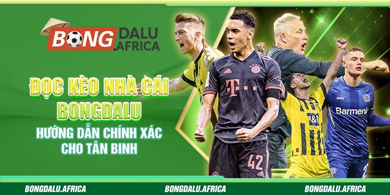 Đọc Kèo Nhà Cái Bongdalu – Hướng Dẫn Chính Xác Cho Tân Binh