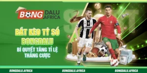 Bắt Kèo Tỷ Số Bongdalu - Bí Quyết Tăng Tỉ Lệ Thắng Cược