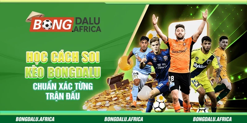 Học Cách Soi Kèo Bongdalu – Chuẩn Xác Từng Trận Đấu