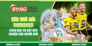 Kèo Nhà Cái Bongdalu - Cách Đọc Và Bắt Kèo Chuẩn Cho Người Mới