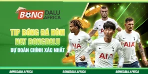 Tip Bóng Đá Hôm Nay Bongdalu - Dự Đoán Chính Xác Nhất