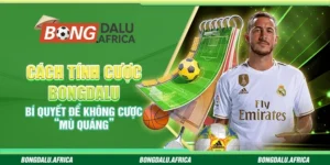 Cách Tính Cược Bongdalu - Bí Quyết Để Không Cược “Mù Quáng”