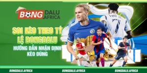 Soi Kèo Theo Tỷ Lệ Bongdalu - Hướng Dẫn Nhận Định Kèo Đúng