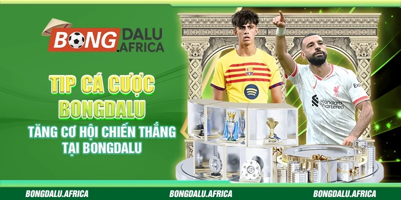 Tip Cá Cược Bongdalu – Tăng Cơ Hội Chiến Thắng Tại Bongdalu