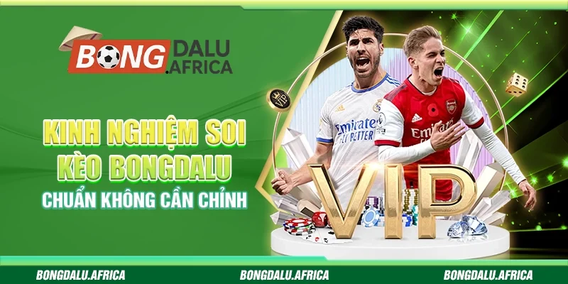 Kinh Nghiệm Soi Kèo Bongdalu – Chuẩn Không Cần Chỉnh