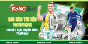 Soi Kèo Tài Xỉu Bongdalu - Soi Kèo Cực Chuẩn Từng Trận Đấu