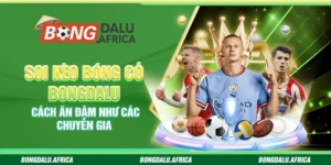Soi Kèo Bóng Cỏ Bongdalu - Cách Ăn Đậm Như Các Chuyên Gia