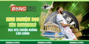 Kinh Nghiệm Đọc Kèo Bongdalu - Đọc Kèo Chuẩn Không Cần Chỉnh