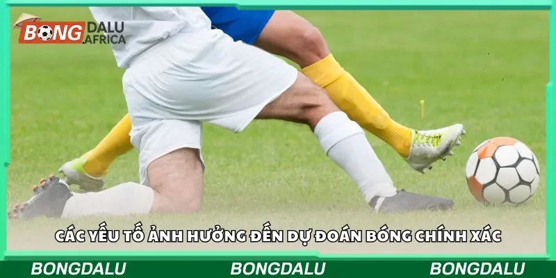 Các yếu tố ảnh hưởng đến dự đoán bóng chính xác