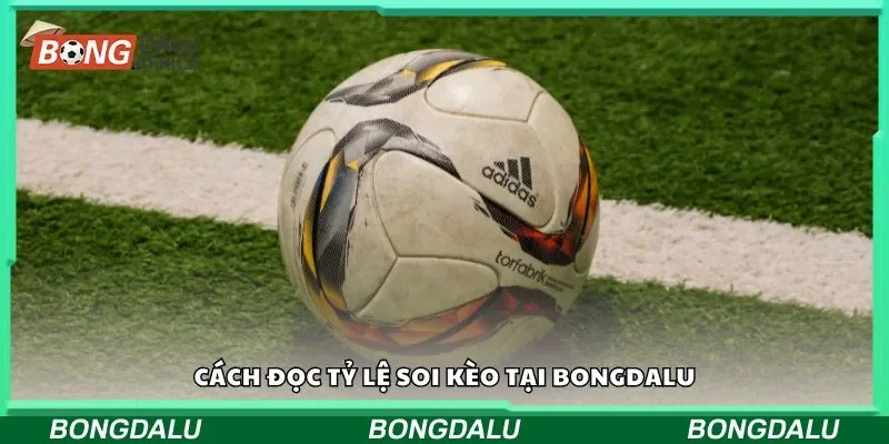 Cách đọc tỷ lệ soi kèo tại Bongdalu