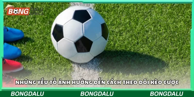 Những yếu tố ảnh hưởng đến cách theo dõi kèo cược