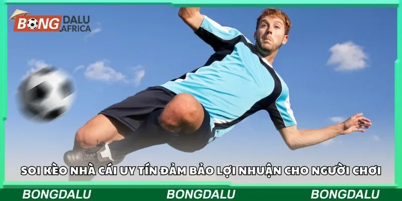Soi kèo nhà cái uy tín đảm bảo lợi nhuận cho người chơi