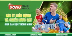  Kèo Ít Biến Động Bongdalu – Chiến Thuật Cá Cược Ổn Định