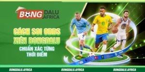 Cách Soi Odds Xiên Bongdalu – Chuẩn Xác Từng Thời Điểm