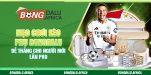 Mẹo Chơi Kèo Phụ Bongdalu – Dễ Thắng Cho Người Mới Lẫn Pro
