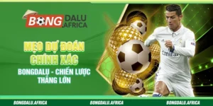 Mẹo Dự Đoán Chính Xác Bongdalu – Chiến Lược Thắng Lớn