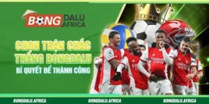 Chọn Trận Chắc Thắng Bongdalu - Bí Quyết Để Thành Công