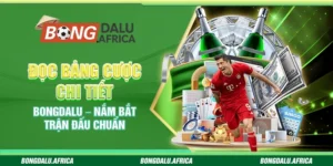 Đọc Bảng Cược Chi Tiết Bongdalu – Nắm Bắt Trận Đấu Chuẩn
