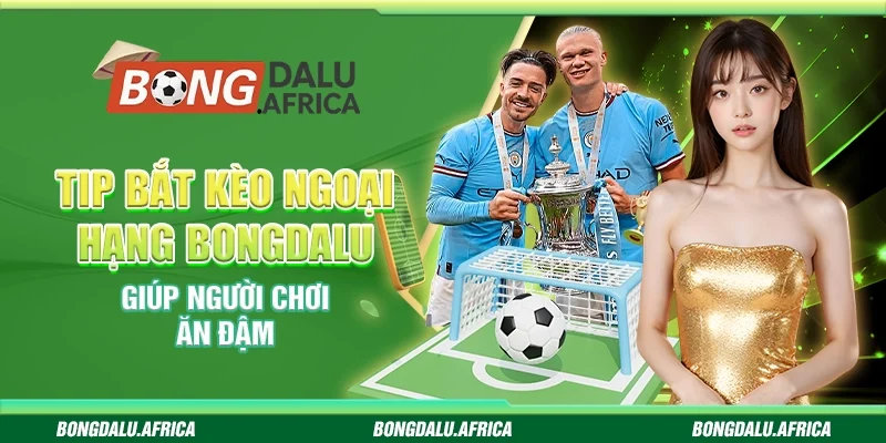 Tip Bắt Kèo Ngoại Hạng Bongdalu – Giúp Người Chơi Ăn Đậm
