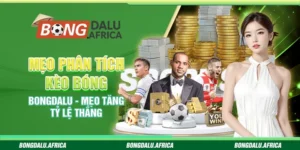 Mẹo phân tích kèo bóng Bongdalu - Mẹo tăng tỷ lệ thắng