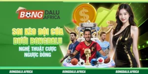 Soi Kèo Đội Cửa Dưới Bongdalu - Chiến Lược Cá Cược Hiệu Quả 