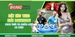 Bắt Kèo Theo Giải Bongdalu - Cách Thức Và Chiến Lược Cá Cược