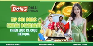 Tip Soi Odds Chuẩn Bongdalu - Chiến Lược Cá Cược Hiệu Quả 