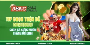 Tip Chọn Trận Dễ Bongdalu - Cách Cá Cược Muốn Thắng Ổn Định