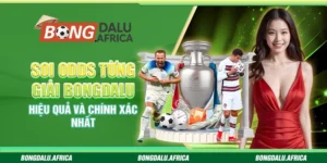 Soi Odds Từng Giải Bongdalu - Hiệu Quả Và Chính Xác Nhất