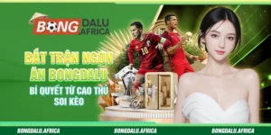 Bắt Trận Ngon Ăn Bongdalu - Bí Quyết Từ Cao Thủ Soi Kèo 