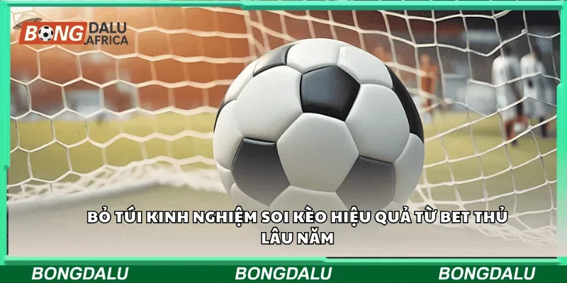 Bỏ túi kinh nghiệm soi kèo hiệu quả từ bet thủ lâu năm
