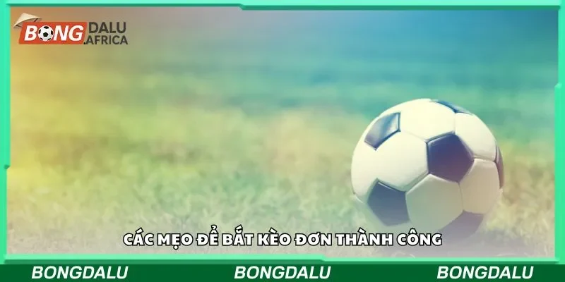 Các mẹo để bắt kèo đơn thành công
