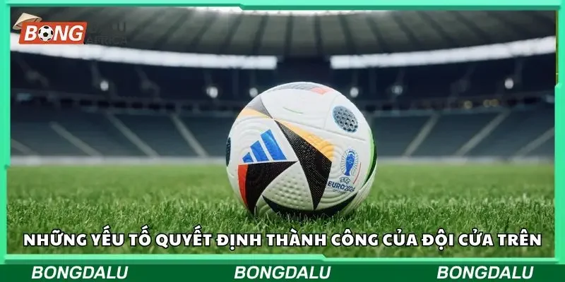 Các yếu tố cần quan tâm khi phân tích đội cửa trên