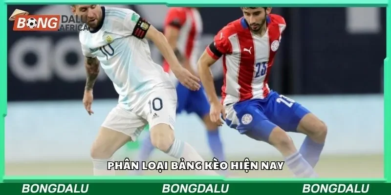 Phân loại bảng kèo hiện nay