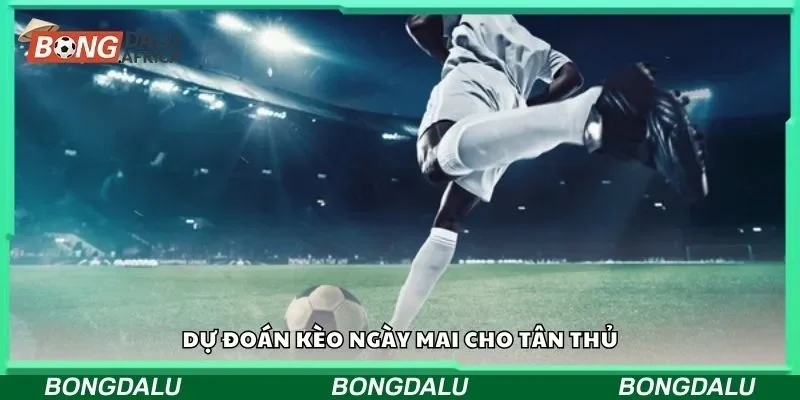 Dự đoán kèo ngày mai cho tân thủ