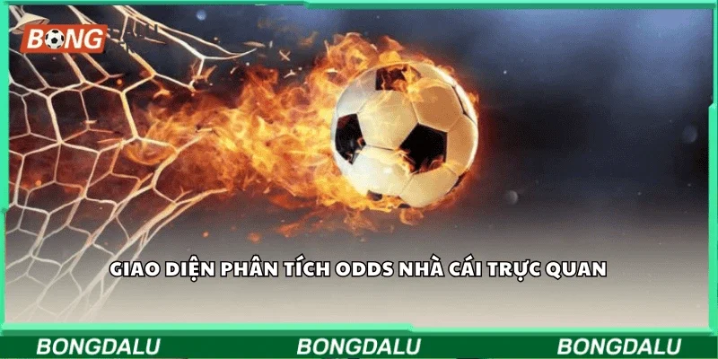Giao diện phân tích odds nhà cái trực quan 