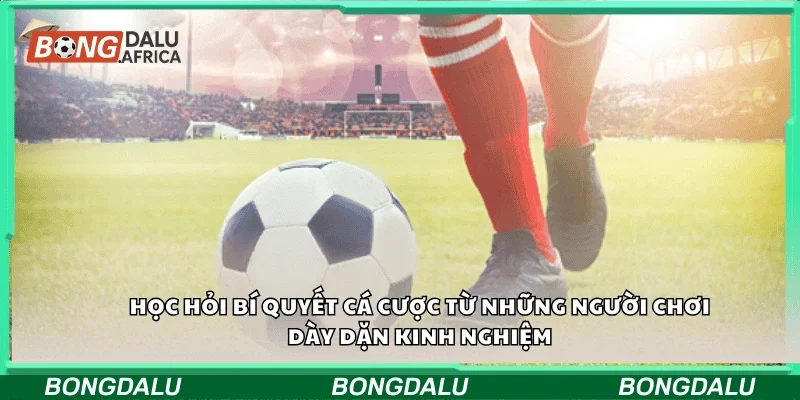 Học hỏi bí quyết cá cược từ những người chơi dày dặn kinh nghiệm