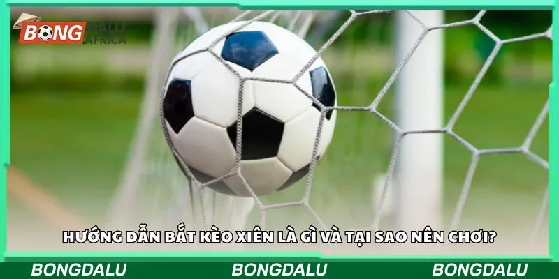 Hướng dẫn bắt kèo xiên là gì và tại sao nên chơi?