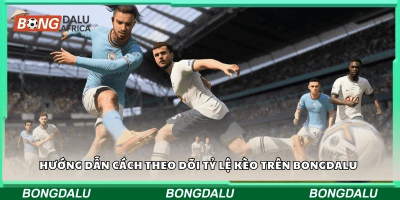 Hướng dẫn cách theo dõi tỷ lệ kèo trên Bongdalu