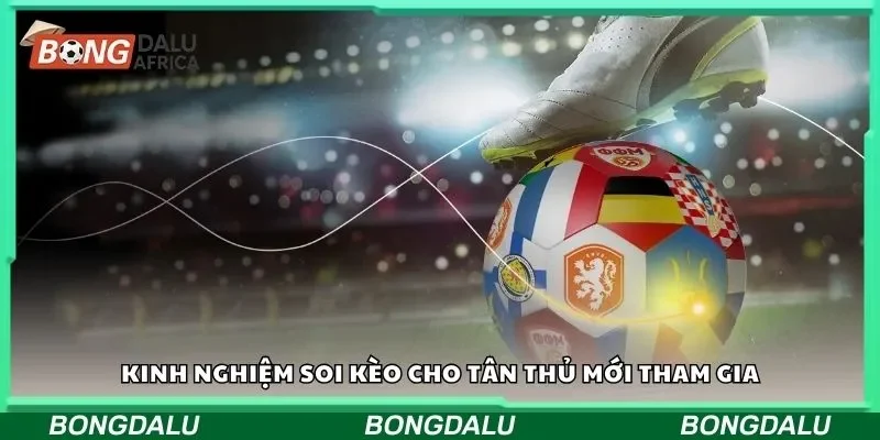 Kinh nghiệm soi kèo cho tân thủ mới tham gia