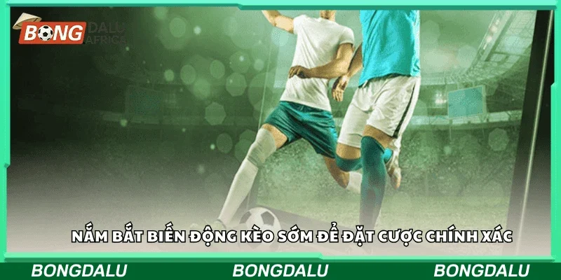 Nắm bắt biến động kèo sớm để đặt cược chính xác