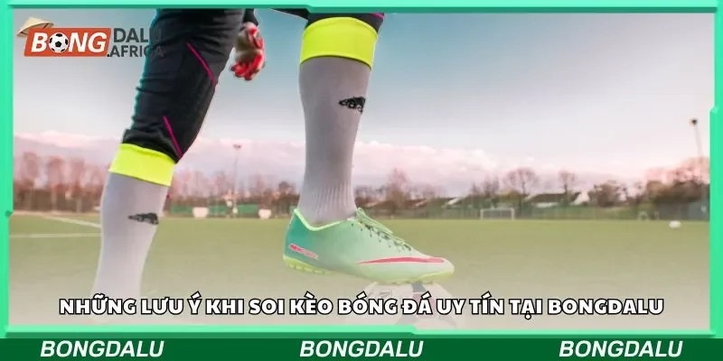 Những lưu ý khi soi kèo bóng đá uy tín tại Bongdalu