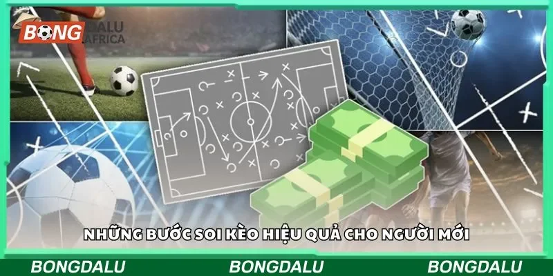 Những bước soi kèo hiệu quả cho người mới