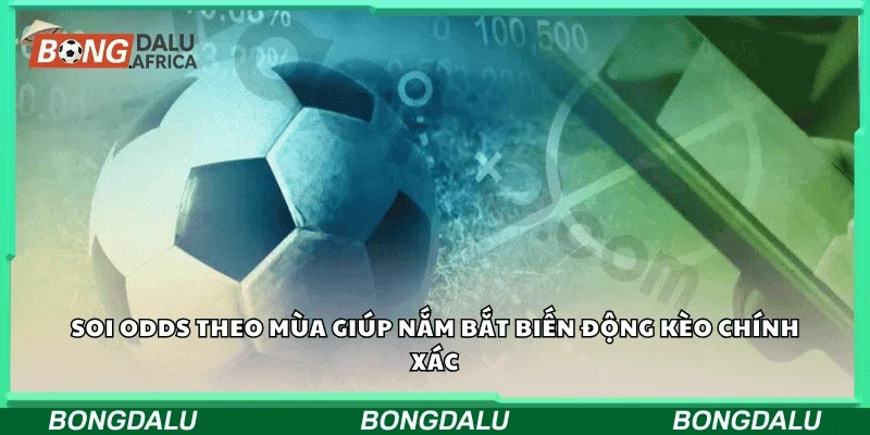 Soi odds theo mùa giúp nắm bắt biến động kèo chính xác.