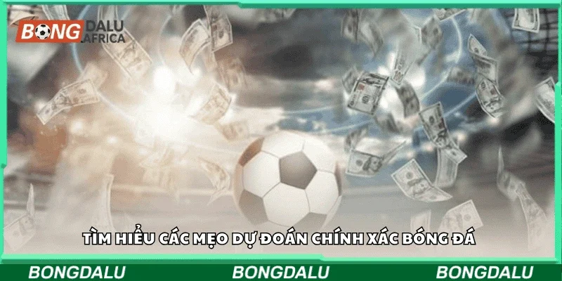 Tìm hiểu các mẹo dự đoán chính xác bóng đá