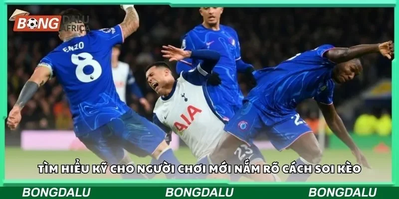 Tìm hiểu kỹ cho người chơi mới nắm rõ cách soi kèo