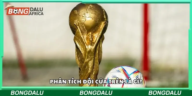 Tìm hiểu về phân tích đội cửa trên
