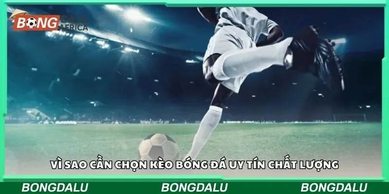Vì sao cần chọn kèo bóng đá uy tín chất lượng