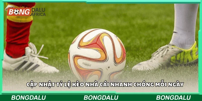 Cập nhật tỷ lệ kèo nhà cái nhanh chóng mỗi ngày