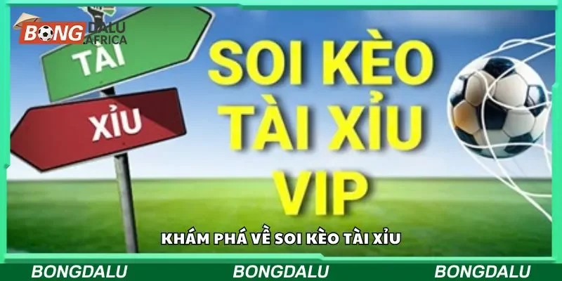 Khám phá về soi kèo tài xỉu